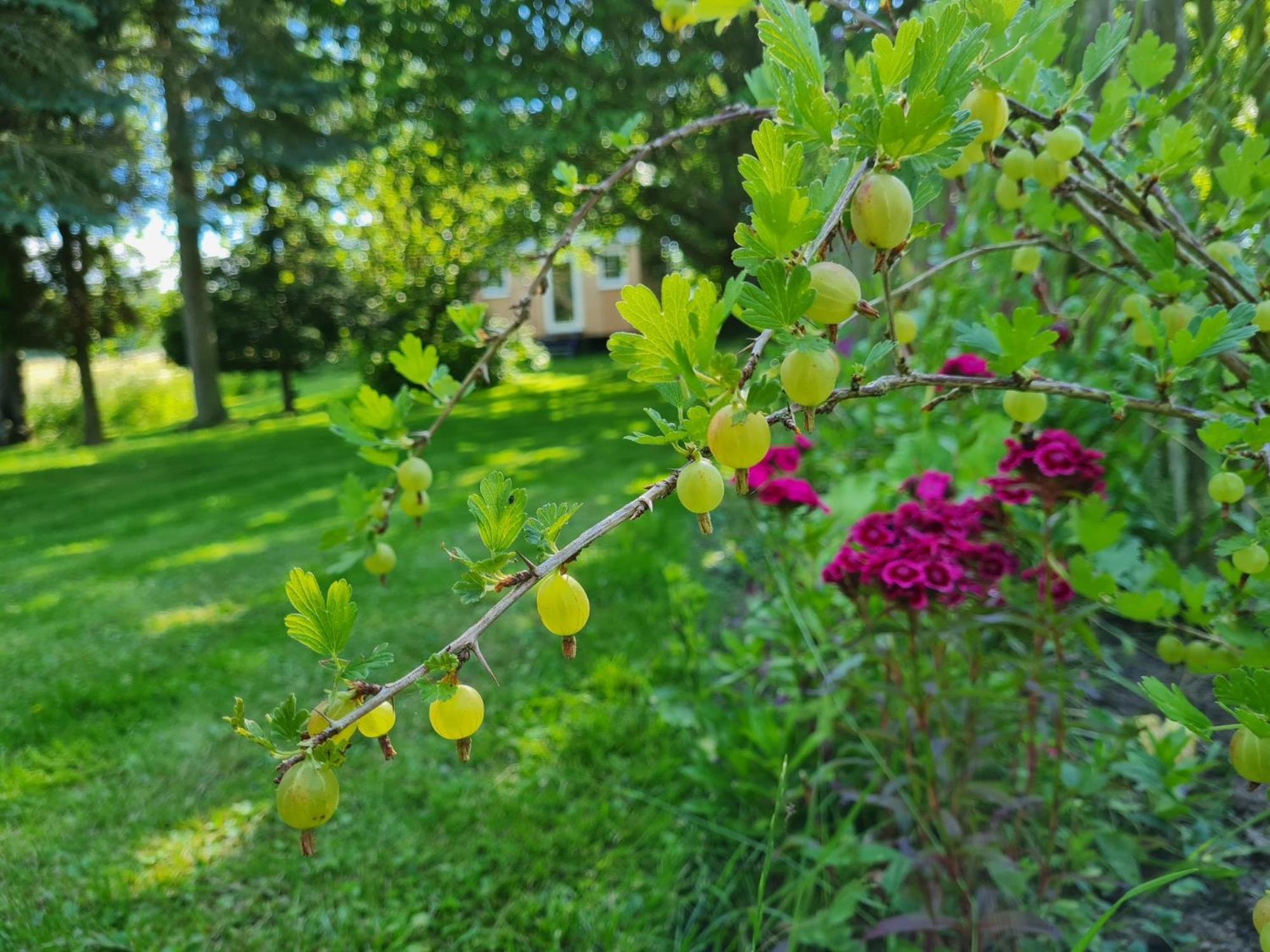B&B Bauernhofferien Auf Mon Askeby Экстерьер фото