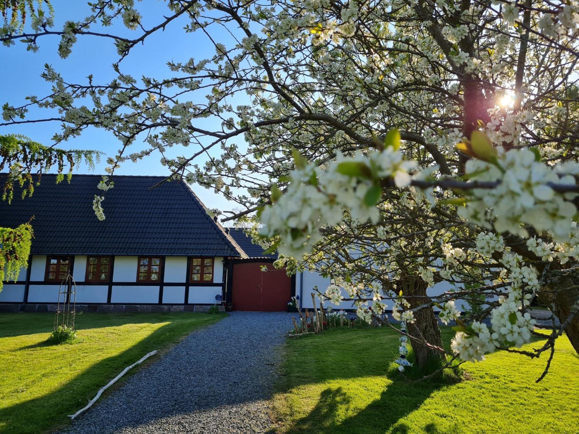 B&B Bauernhofferien Auf Mon Askeby Экстерьер фото
