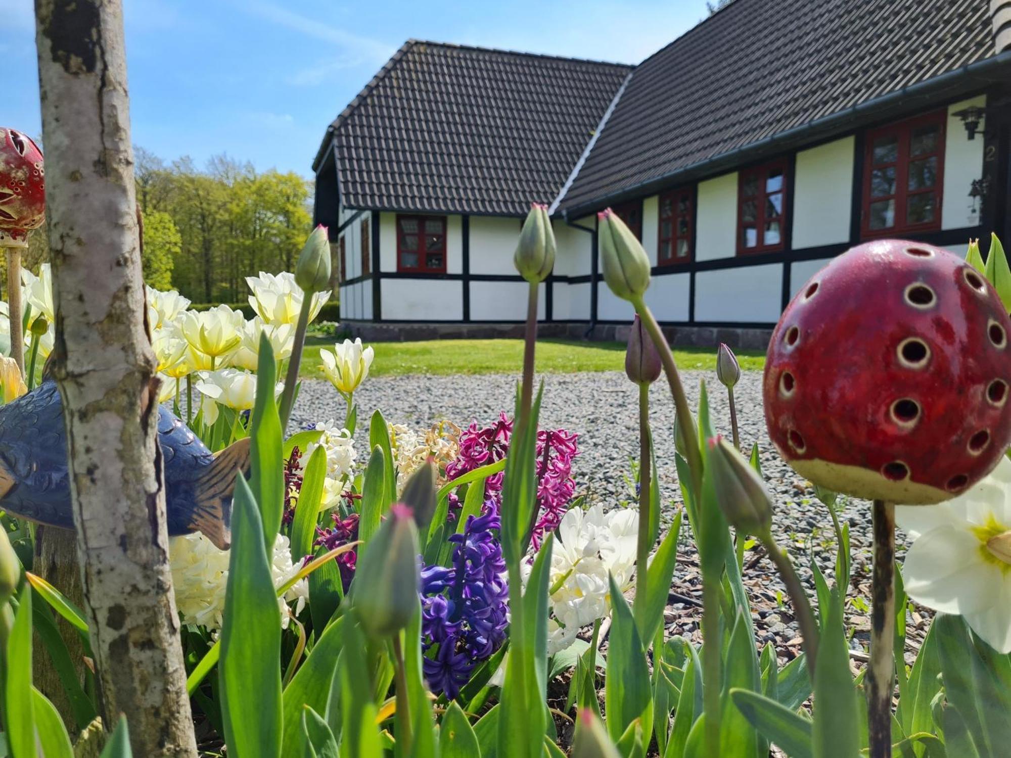 B&B Bauernhofferien Auf Mon Askeby Экстерьер фото