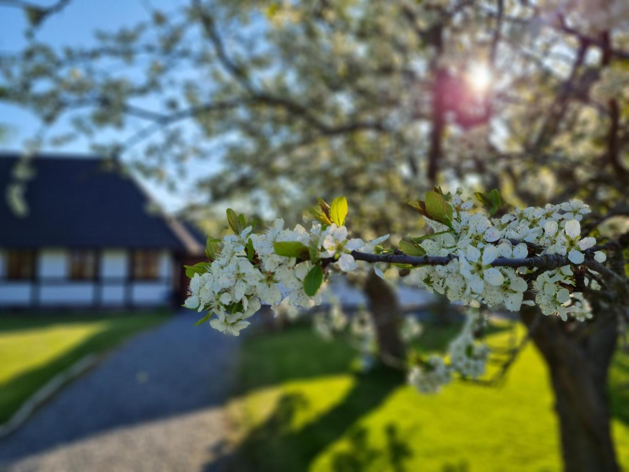 B&B Bauernhofferien Auf Mon Askeby Экстерьер фото