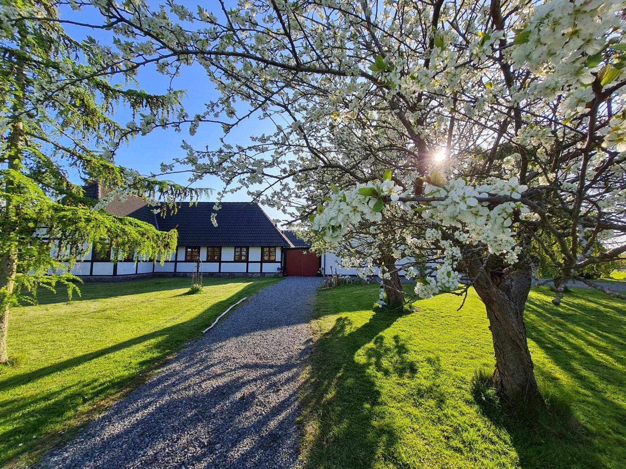 B&B Bauernhofferien Auf Mon Askeby Экстерьер фото