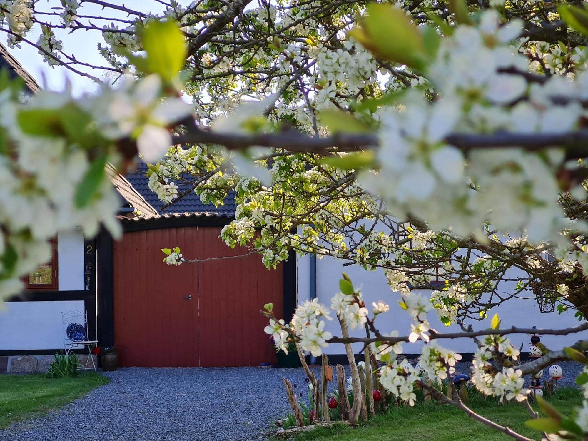 B&B Bauernhofferien Auf Mon Askeby Экстерьер фото